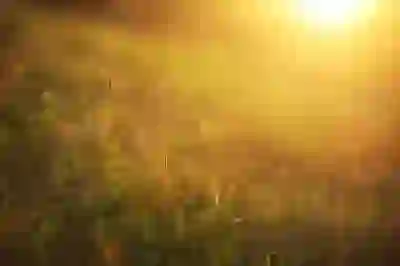 갤럭시탭 S10 라이트 구매 시 알아두면 좋은 혜택 살펴보기