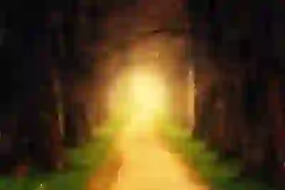 고객의 이해를 돕기 위한 간선 상차하차 설명의 모든 것