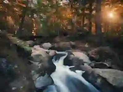 네이버 플레이스 상위 노출을 위한 필수 꿀팁 알아보자