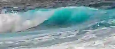 로게인폼 가격, 부작용 및 사용법 가이드