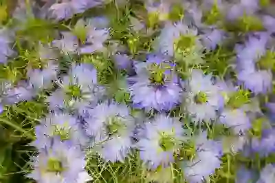 린클 미생물 음식물 처리기 대신 구매한 제품 추천