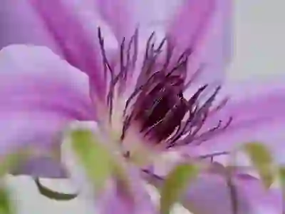 맥북 에어 M4 13인치 추천 이유 4가지 알아보자