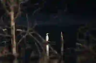 레드빈 무한휠 버티컬마우스의 만족스러운 후기 살펴보기