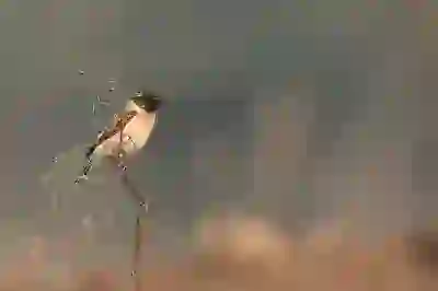 서민을 위한 햇살론 대출, 자격 조건과 한도 알아보기