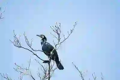 아이클라우드 백업 사진 동기화 삭제 방법 알아보자
