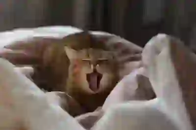 아이패드 프로 4세대 11인치 여전히 사랑받는 이유 알아보자