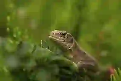 애플워치 울트라2 스펙과 할인 꿀팁 알아보자