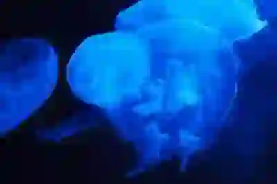 앤커 사운드코어 라이프 Q30 노이즈캔슬링 무선 헤드폰 실사용 후기 살펴보기