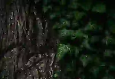 옥천 HUB 간선 하차 상태에 대한 실시간 정보의 중요성