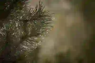 유튜브 프리미엄 가격 할인받는 4가지 꿀팁 알아보자