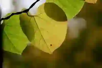 가정용 블루벤트ID 음식물처리기 선택 시 알아보자