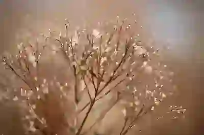 냄새 없이 간편하게 음식물처리하는 방법 알아보자