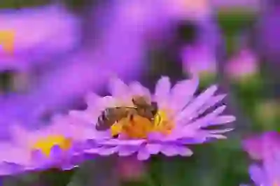 주간 계획을 위한 노션 활용법: 나만의 생일선물 만들기