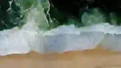 타이달 가입 요금 할인 꿀팁 알아보자