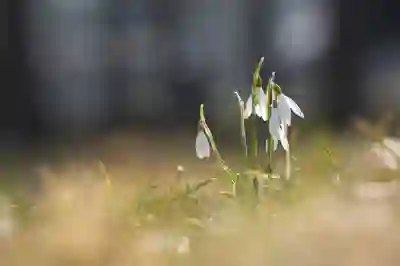황유민의 US여자오픈 도전기 살펴보기