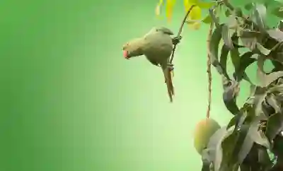 황유민, 그린 퍼팅 감각 살펴보기