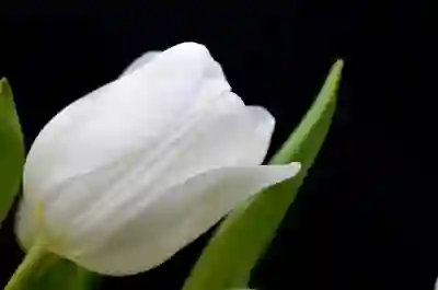 황유민 프로필과 기록을 알아보자