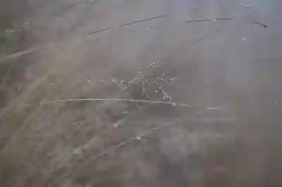 물걸레 로봇청소기 문턱 걱정 없는 후기