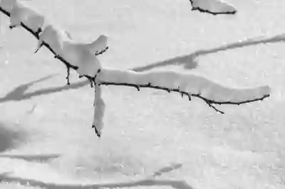 에어팟 프로 2세대 가격 여전히 사랑받는 이유