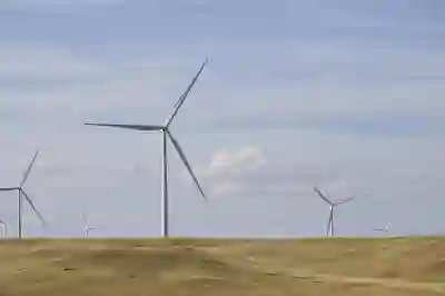 티빙 요금제 할인 유일한 대안 피클 플러스 후기