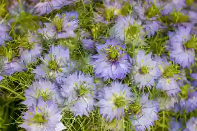 자취방인터넷설치 비용 비교 핵심