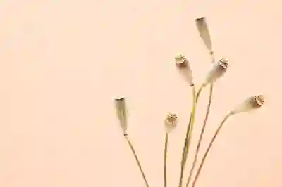 네이버 메모 PC 모바일 사용법 간단한 꿀팁