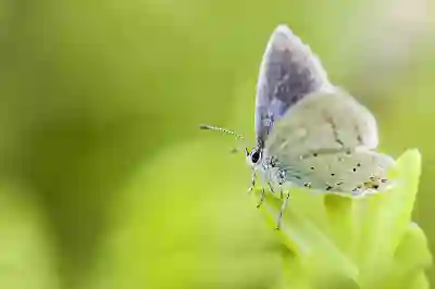 네이버 클라우드 사용법 MY BOX 무료 용량 사진 요금제 가격 정보