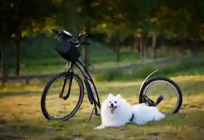 맥북 공장 초기화 방법 중고 거래 필수 절차