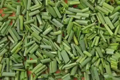 음식물처리기 추천 순위 비교 및 가정용 음식물 분쇄기 후기