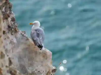 가성비 좋은 차이슨 무선청소기와 아이닉 비교 사용 후기 살펴보기