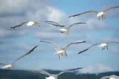 네이버 클라우드 MY BOX 무료 용량과 요금제 가격 정보 알아보자