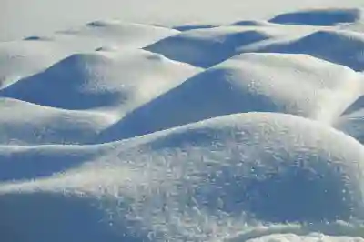 드리미 X50s Pro Ultra 로봇청소기 가격과 만족도 알아보자