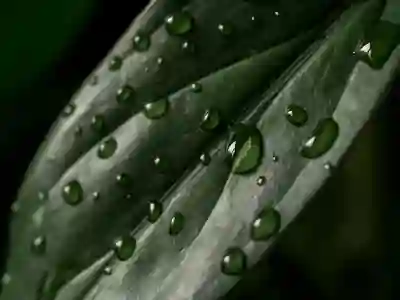 로보락과 아이닉 로봇청소기 비교를 위한 실사용 후기 살펴보기