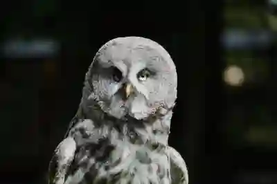 샤크 무소음선풍기 구매 후 사용 후기 알아보자