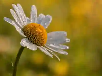 자취방 인터넷 설치 비용 비교 방법 알아보자
