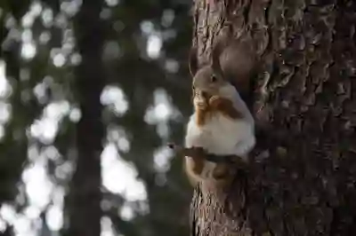 KT인터넷가입현금사은품 많이주는곳 알아보자