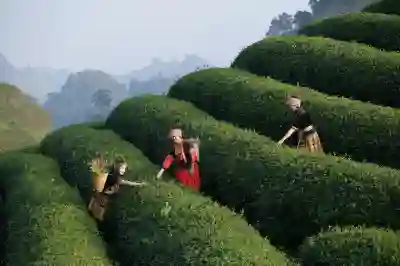 기가인터넷 가격비교 및 신청 꿀팁 알아보자