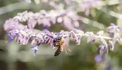 LG KT SK 인터넷가입 현금지원과 사은품 비교하는 꿀팁