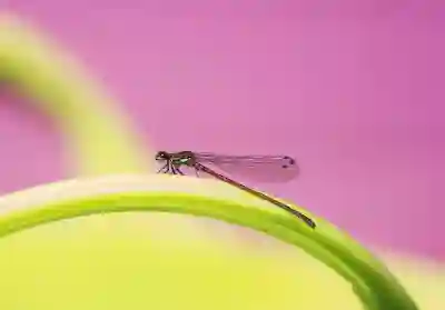 sk 인터넷 설치 후기와 요금제 알아보자