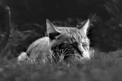 컴퓨터 모니터 신호없음 문제 해결을 위한 4가지 방법 알아보자