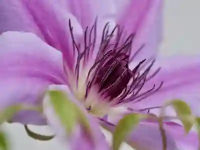 에어글 공기 청정 살균기 효과와 후기 알아보자