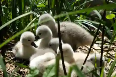 아이닉 iv10 소형 진공청소기 사용법 살펴보자