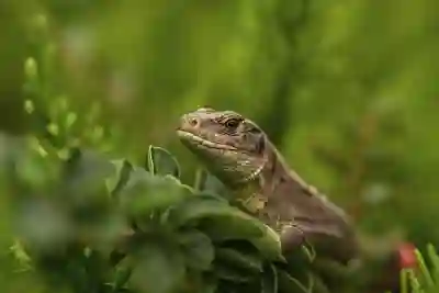애플워치10 디자인 변화 살펴보기