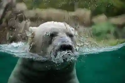 에어팟 맥스2 리뉴얼 버전 출시 변화와 가격 할인 꿀팁 알아보자