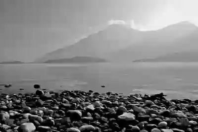 음식물처리기 관리 꿀팁 알아보자