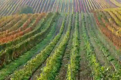 아이닉 무선청소기로 가성비와 흡입력 모두 잡는 방법 살펴보기