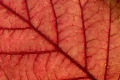 챗GPT 무료와 유료 비교 및 할인 꿀팁 알아보자