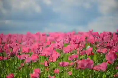 태클라스트 M50 구매 전 반드시 알아야 할 3가지 포인트