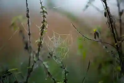 홈페이지 제작 웹표준화의 중요성 알아보자
