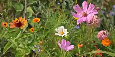 평생교육바우처 지원대상과 신청방법 알아보자